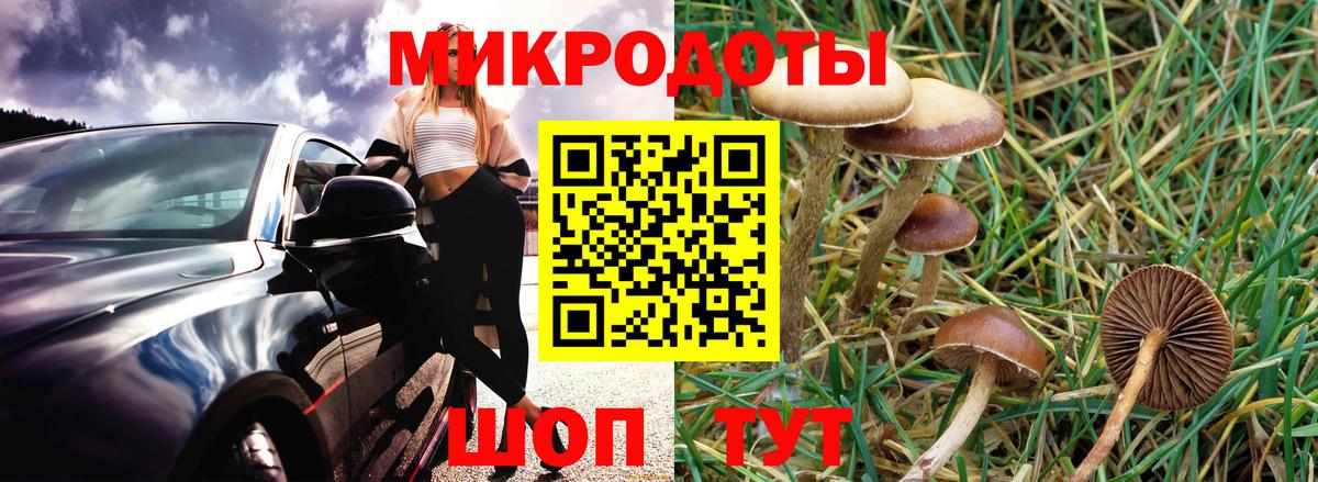 Псилоцибиновые грибы Magic Shrooms Южноуральск